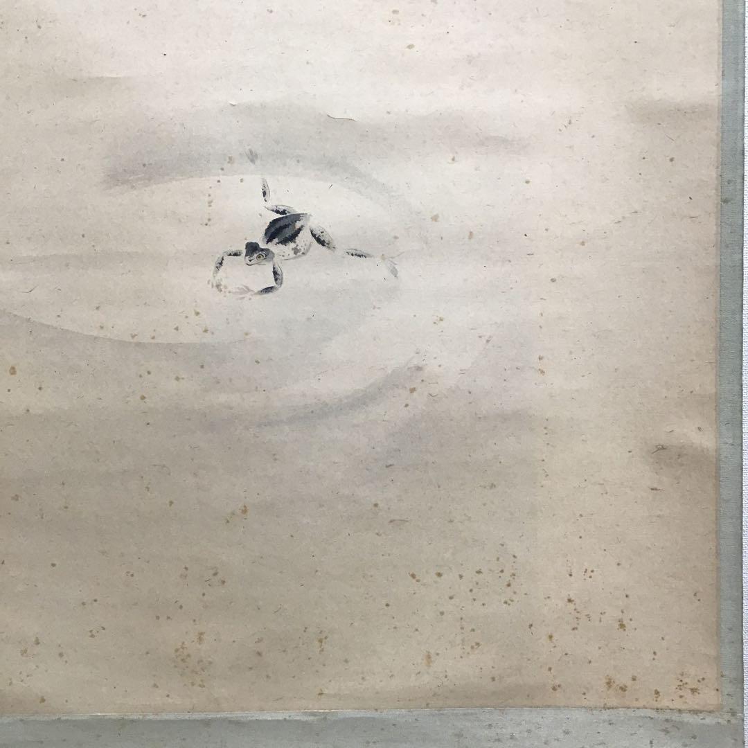 K茶道具　掛軸　「水邊(池蛙)」　双年作　共箱(一部削れ有り)　S215KJ