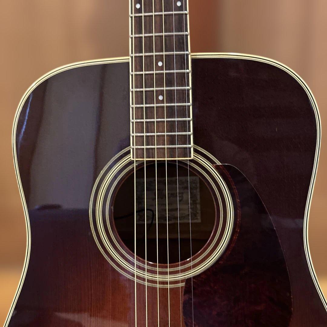 Ibanez エレアコ ソフトケース付 新品弦張替済