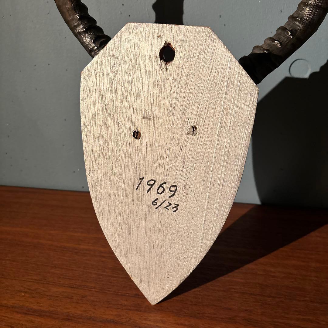 インパラ　頭骨　ハンティングトロフィー 標本　剥製　角