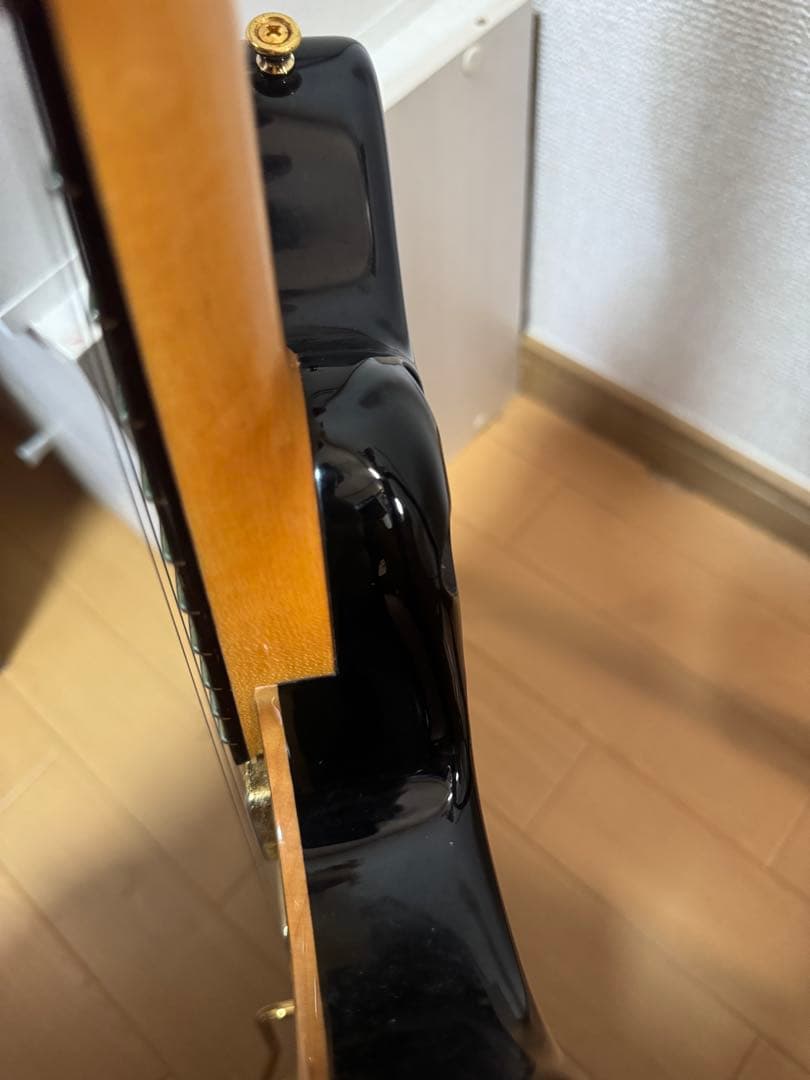 Sugi guitars DS496 IR オリジナルセミハード付き