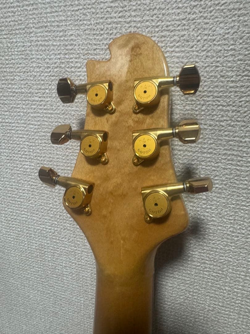 Sugi guitars DS496 IR オリジナルセミハード付き