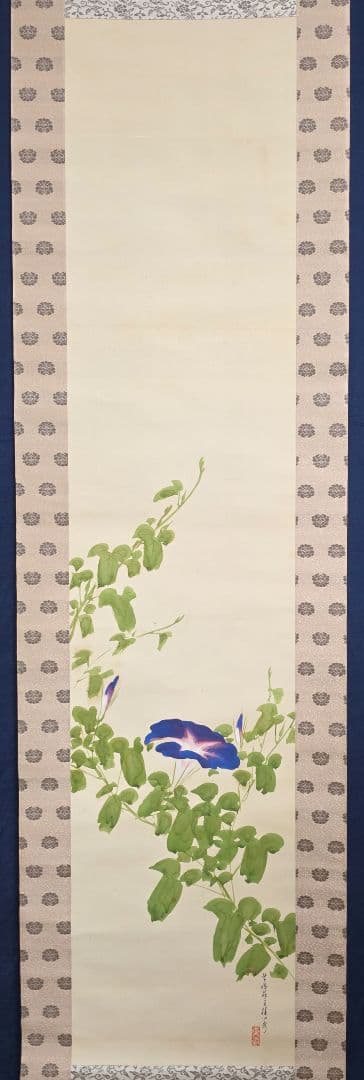 【朝顔図】平井楳仙 2720 アサガオ 掛け軸 肉筆 共箱二重箱