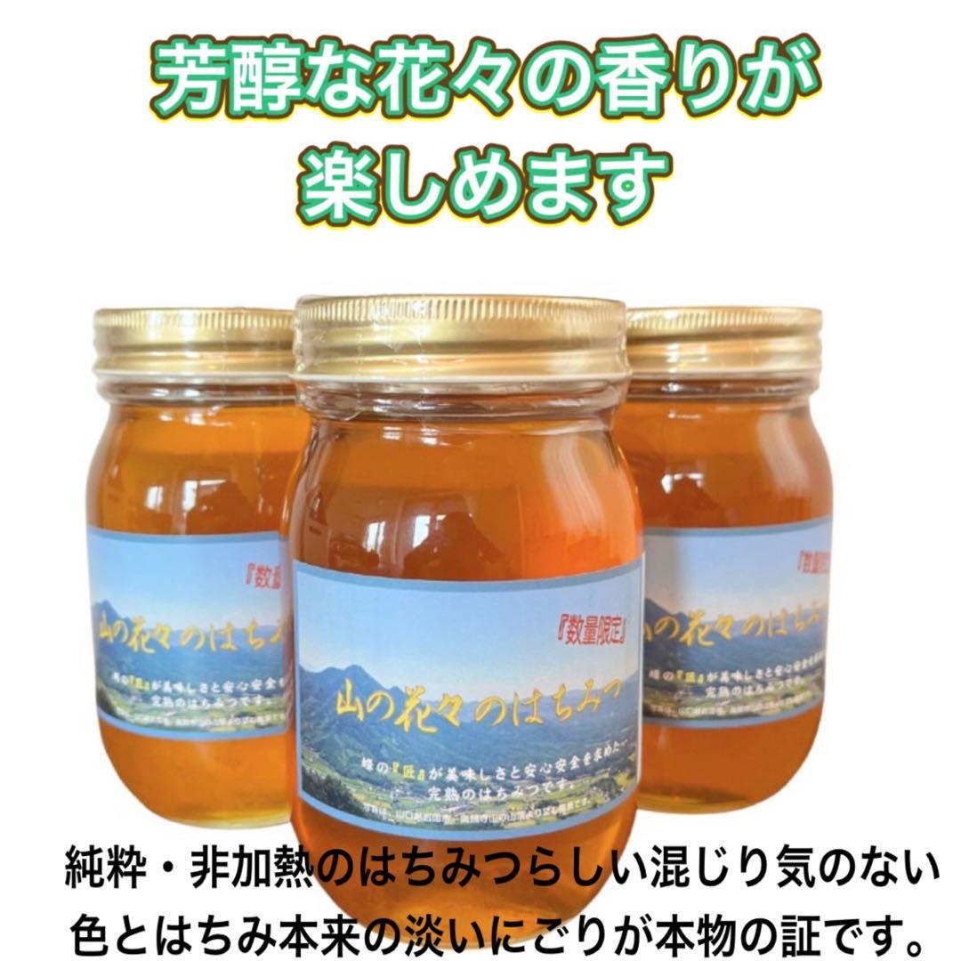 純粋生はちみつ　国産非加熱　600g ×6 個　即購入OK