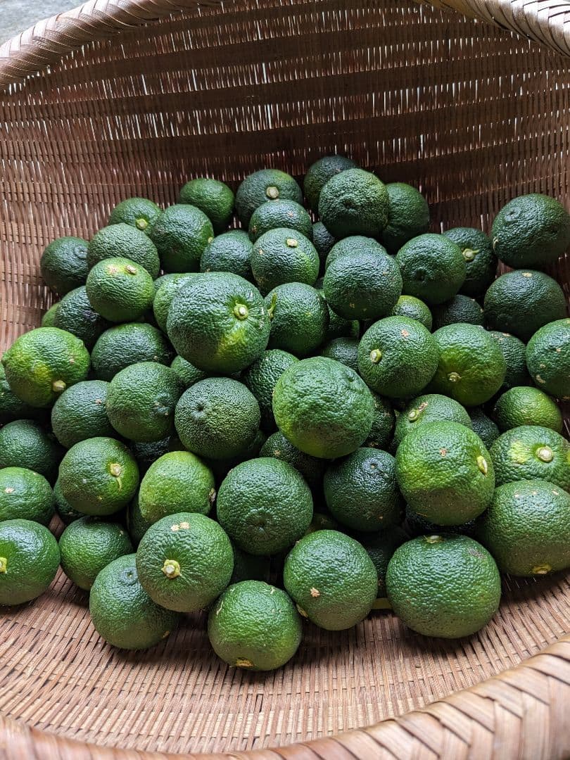 ゆず胡椒に！青柚子２０kg（愛媛県産）。そうめんの薬味、冷奴、刺身、酒、焼酎に◎