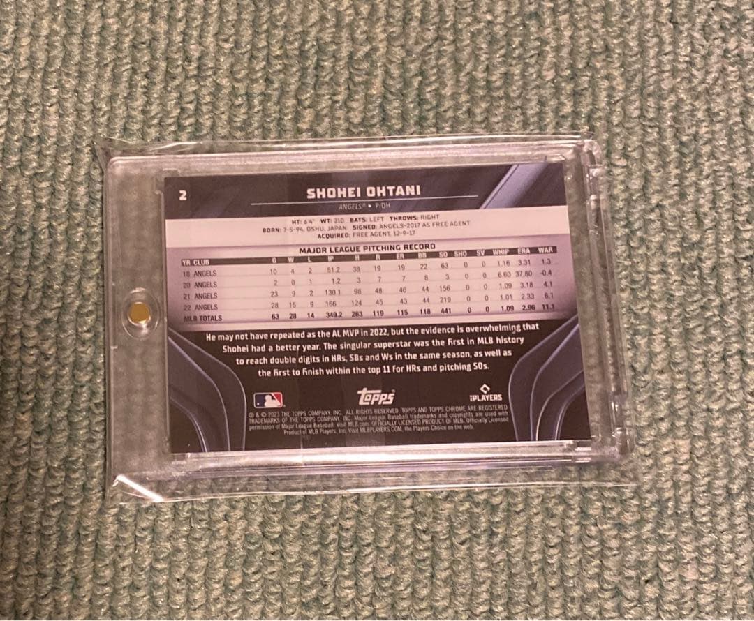 大谷翔平 ブルーリフレクター