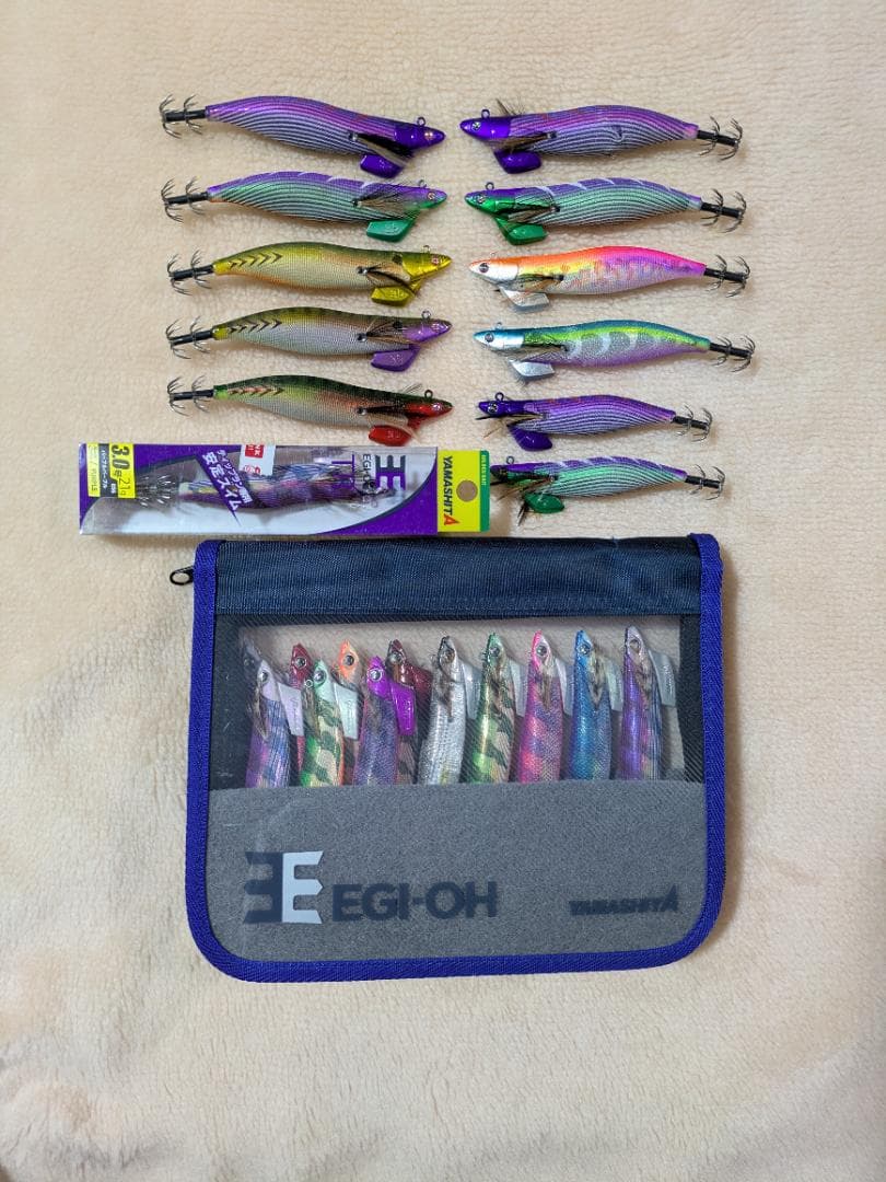 M*a様 ティップランナー＆エギ王TR＆ケース付き