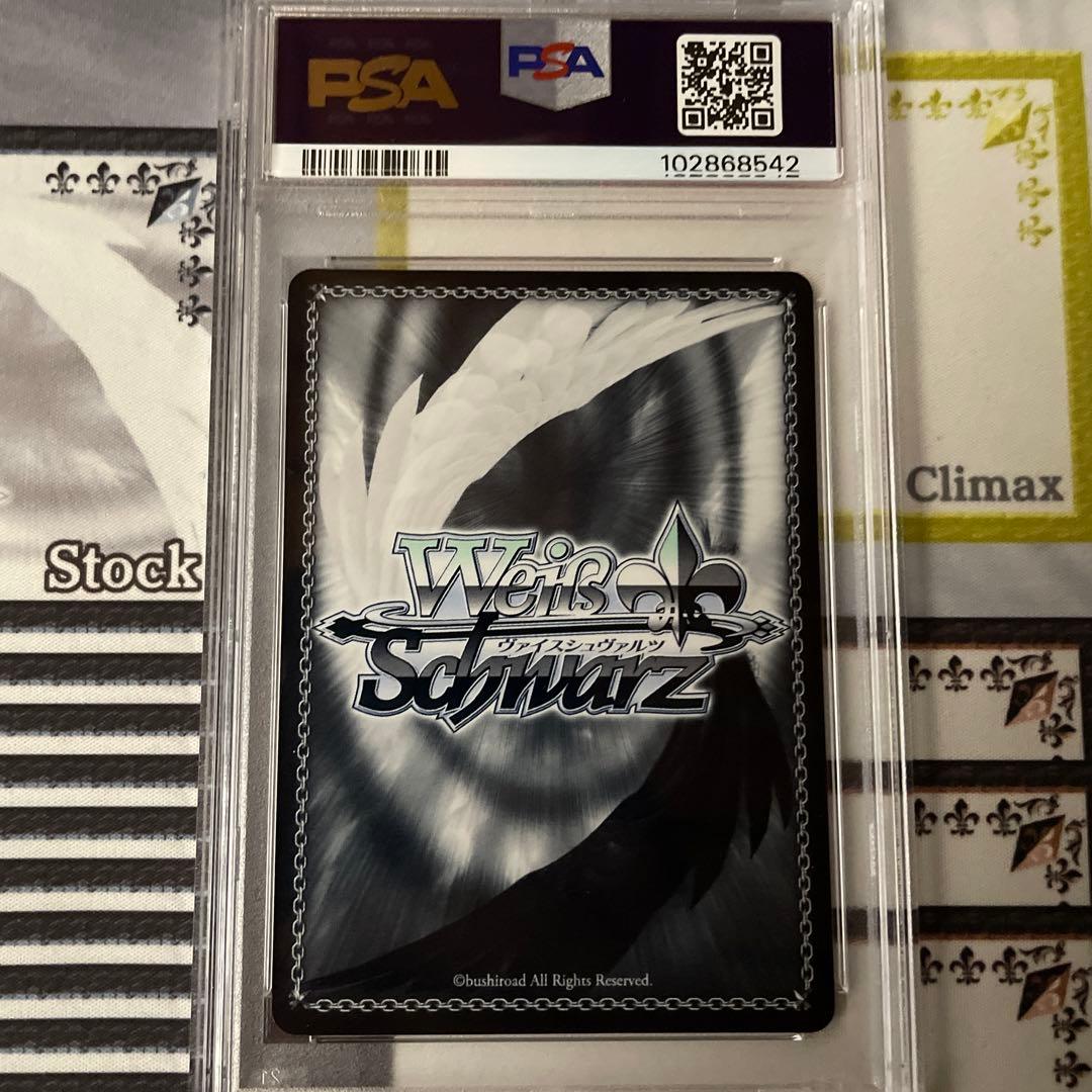 運命に立ち向かう少女　TD SP PSA10