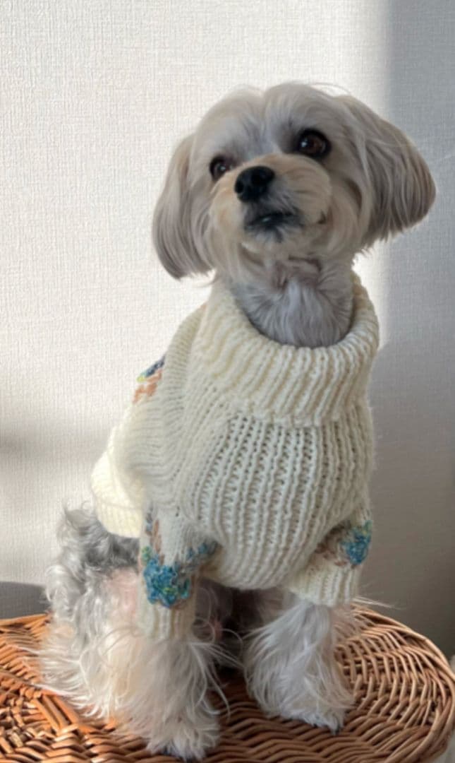 測定箇所の説明