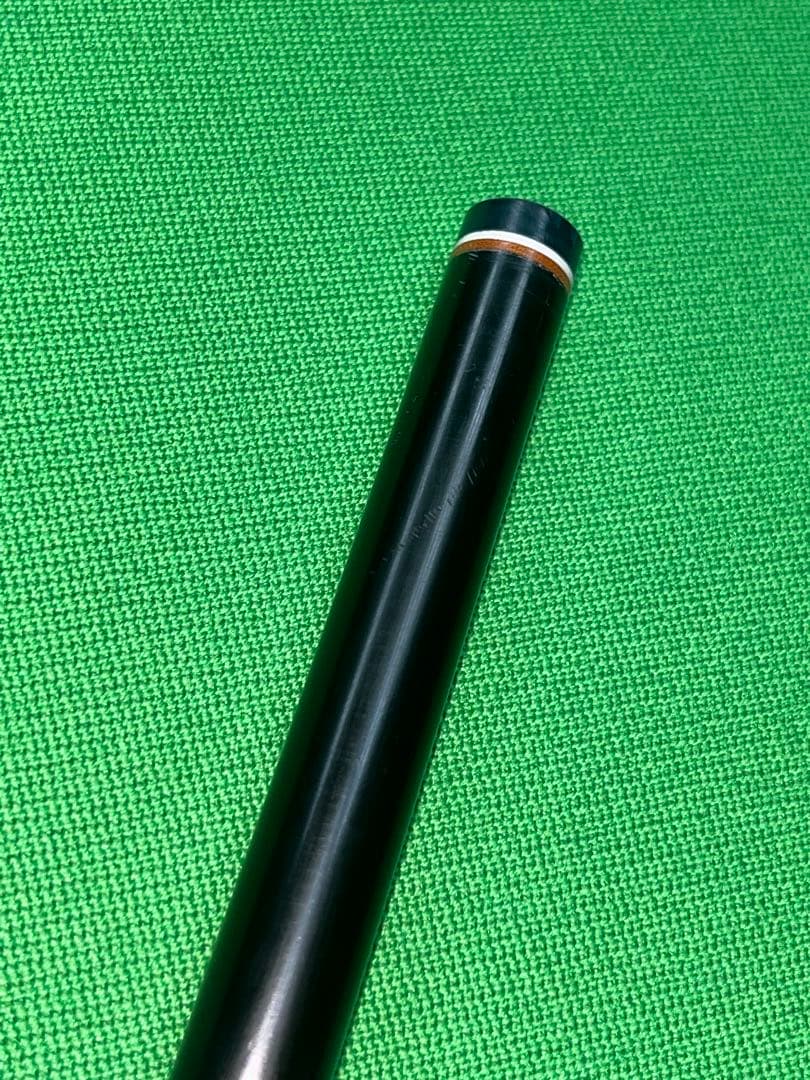 コモドドラゴン様