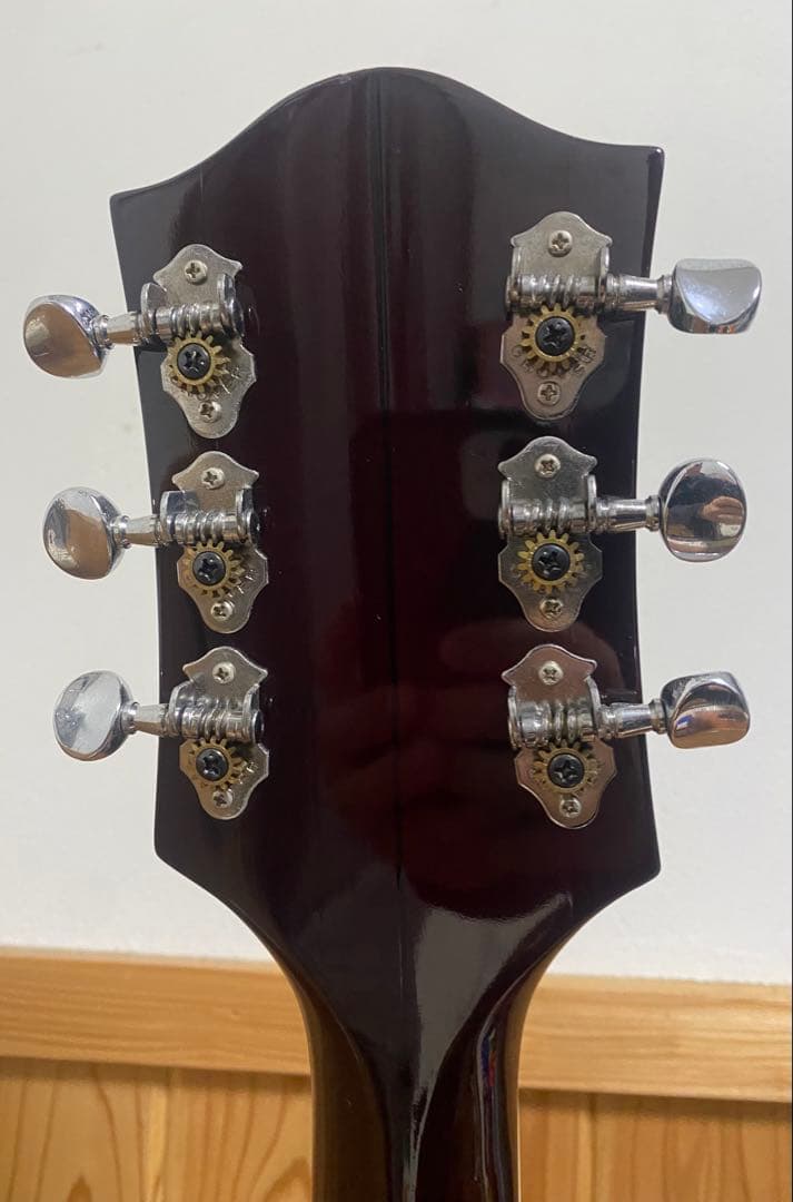 フ*プ様 Gretsch TENNESSEAN 6119-62HT 2002年復