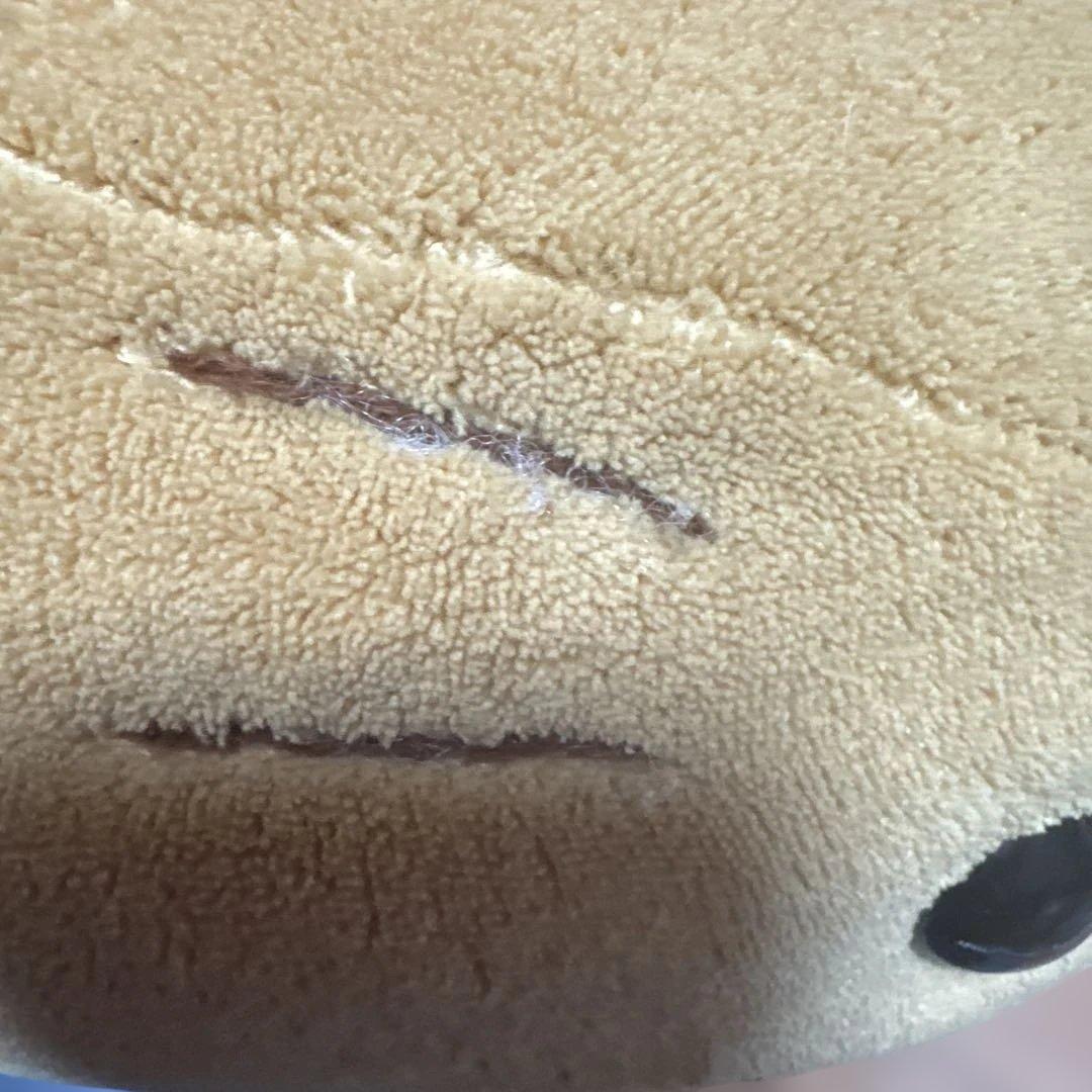 タグ付　小麦色にへんしん　しろたんだきぐるみ♡日焼けぬいぐるみ　すいか