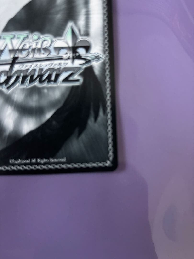 WS NIKKE メアリーベイゴッデス sp サイン