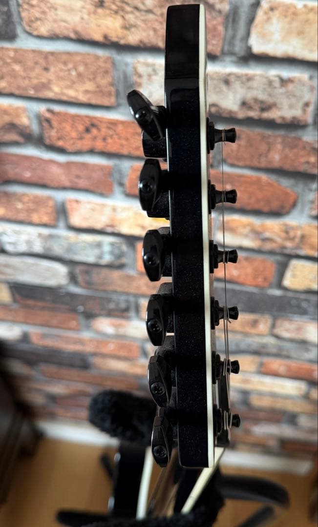 期間限定価格1/27 本日まで❗️FERNANDES TEJ DELUXE 2S