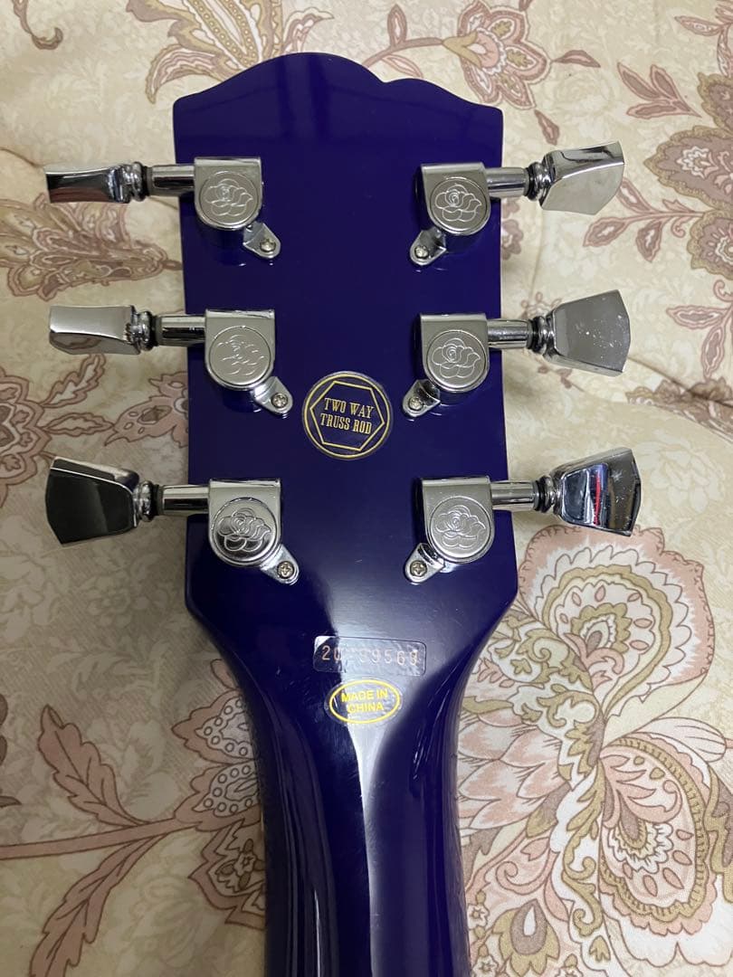 【勝手にタイムセール！】GypsyRose レスポールタイプ　今日だけ大幅値下げ