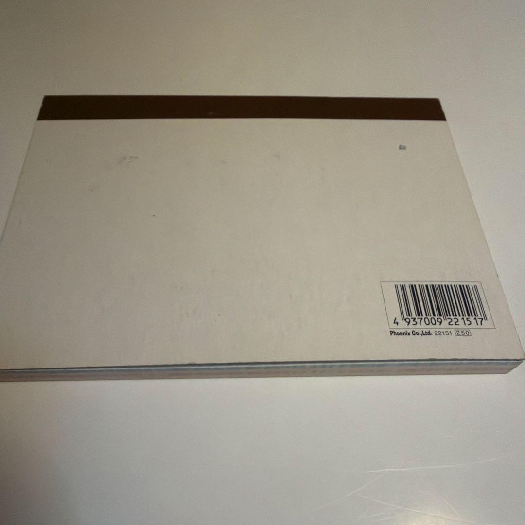 平成レトロ　メモ　大熊猫飲茶　パンダ　中華　新品