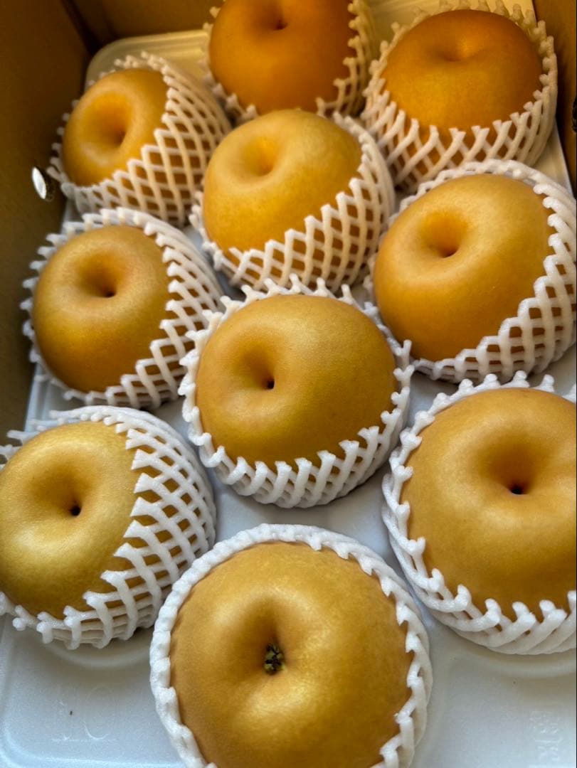 梨　新高梨　10玉　　08