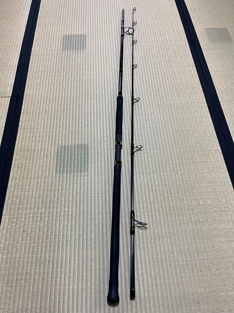 リップルフィッシャー ランナーエクシード100SXH ファイナルスタンドアップ