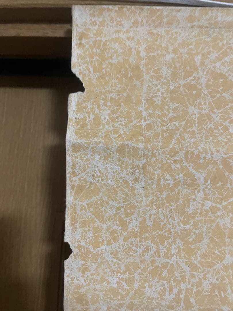 掛け軸　亀　但亀　黒雲斎　骨董品　古美術　美術品　レトロ