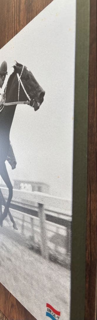 シンザン　昭和40年天皇賞 競馬パネル 日刊スポーツ