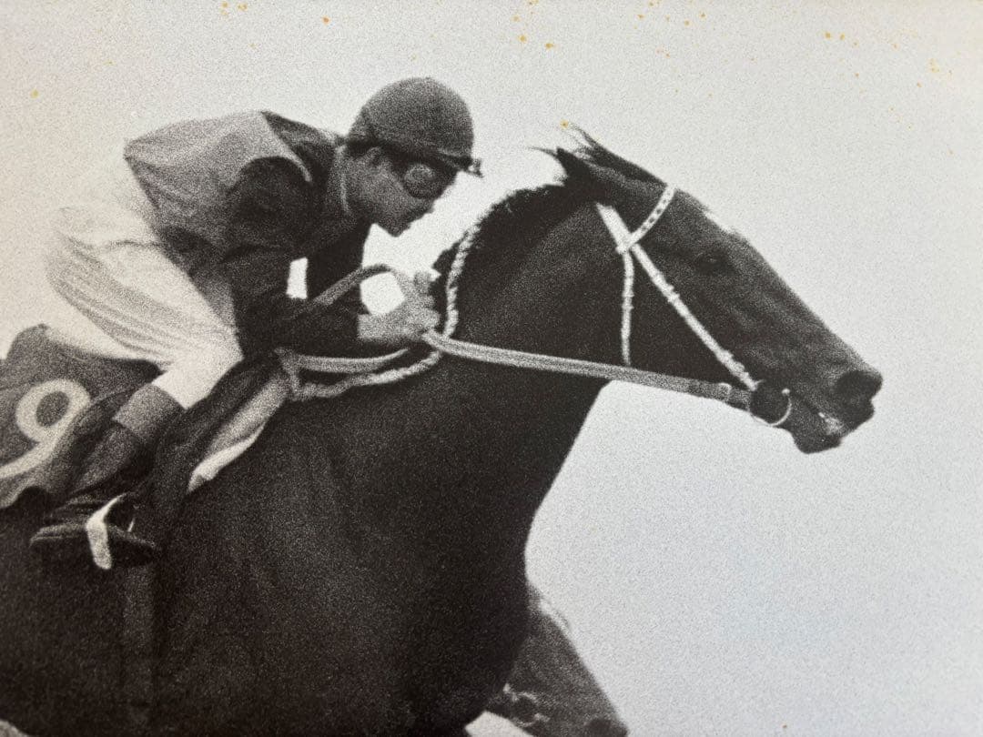 シンザン　昭和40年天皇賞 競馬パネル 日刊スポーツ