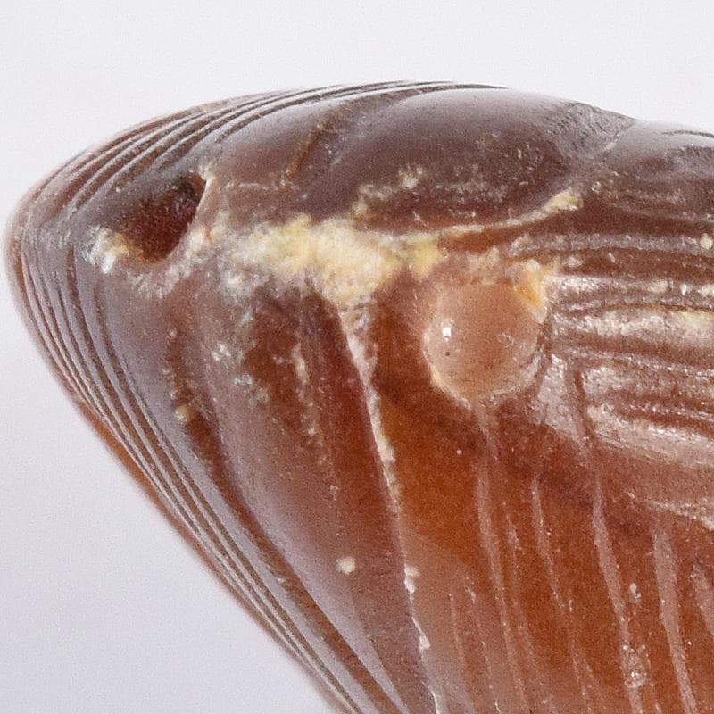 中国　玉石彫刻　筍　根付　C　7932E