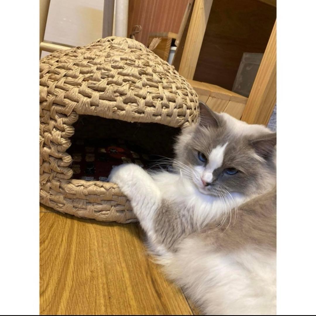 e*e様 ハンドメイド 猫ちぐら 猫つぐら