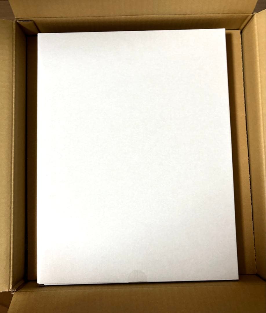 初音ミク feat. Yoneyama Mai 米山舞　複製原画付き　フィギュア