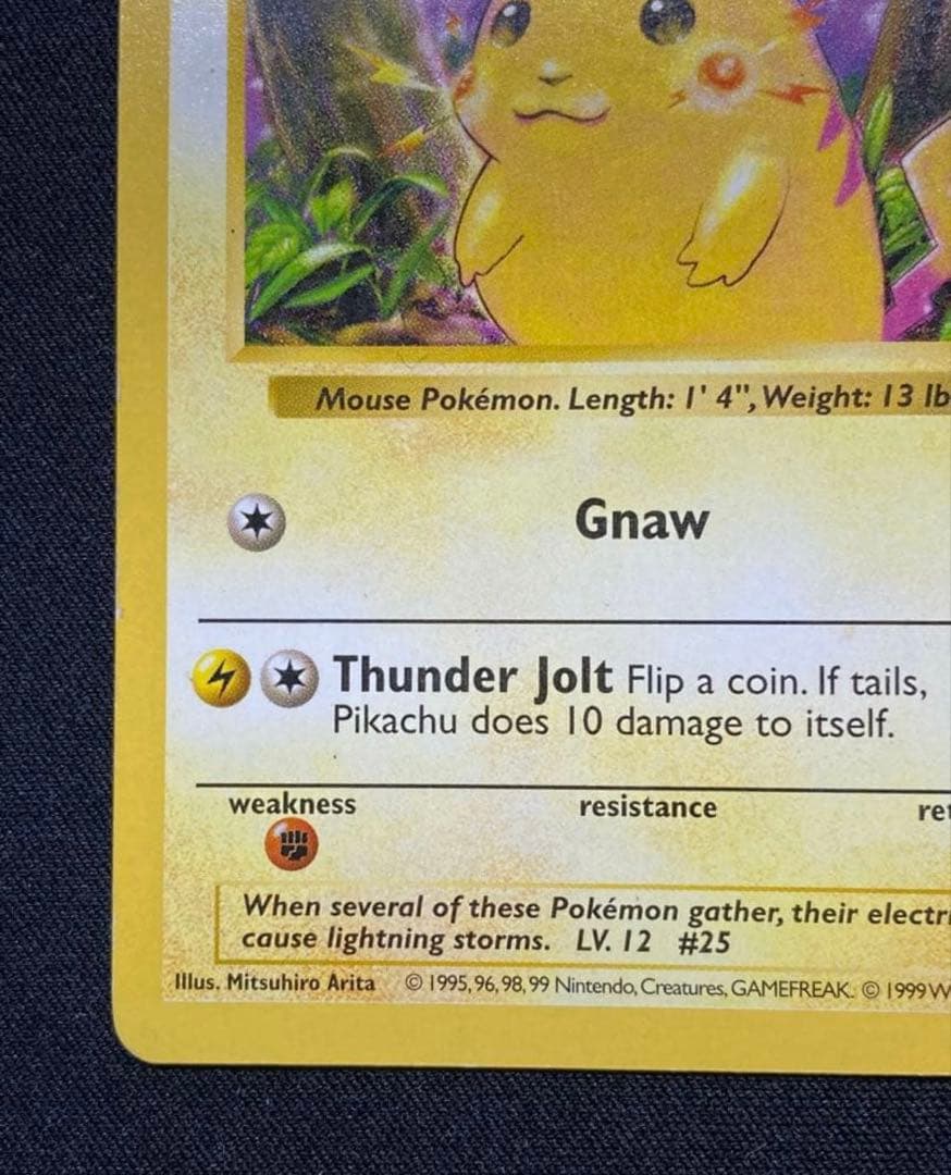 エラー版　ピカチュウ かじる　シャドーレス