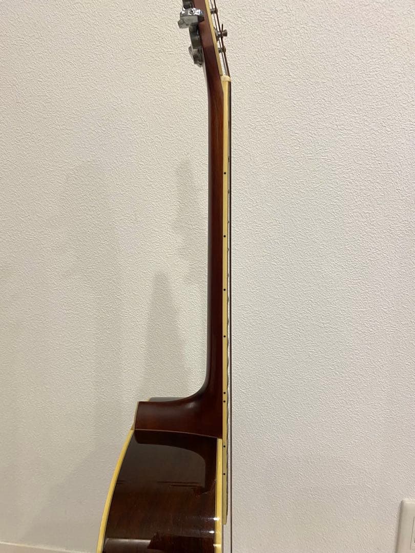 Morris モーリス　M601 アコースティックギター ハカランダ