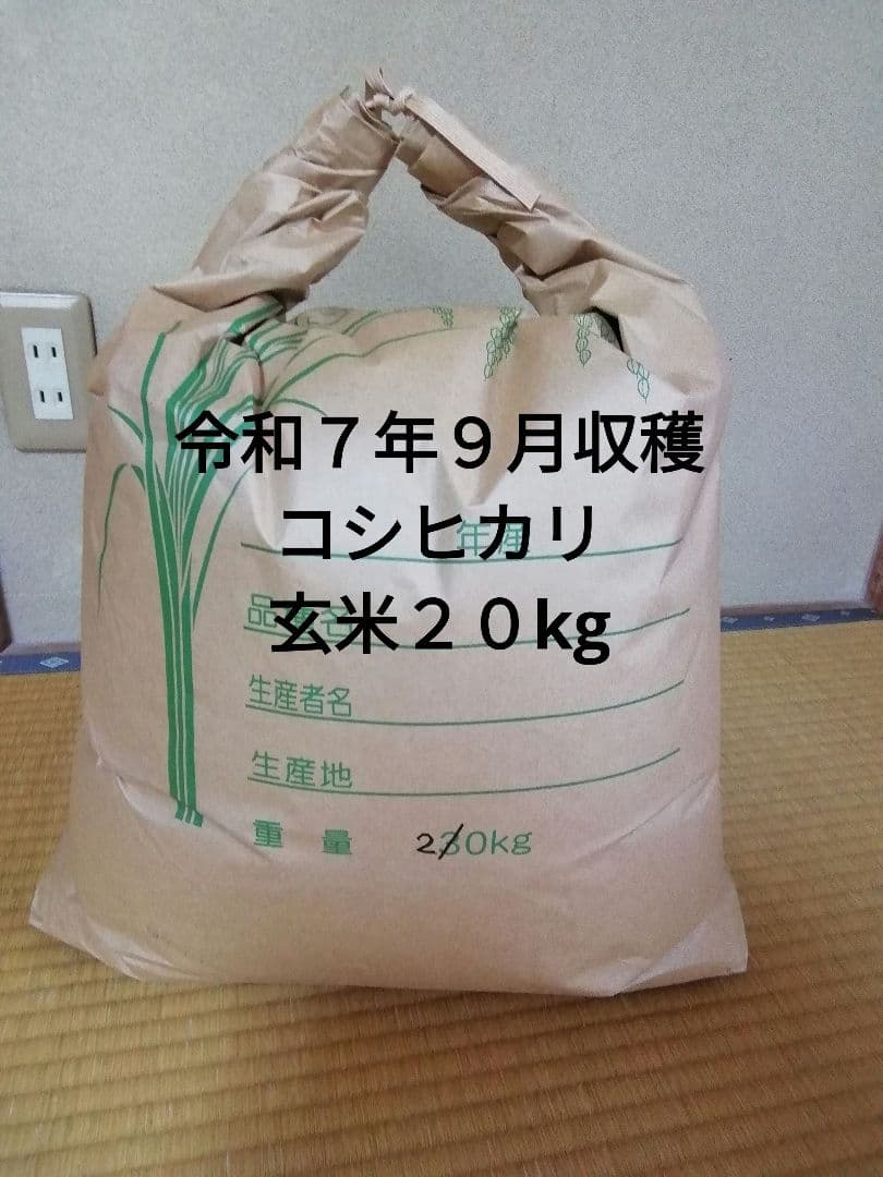 令和７年９月収穫　コシヒカリ玄米２０ｋｇ