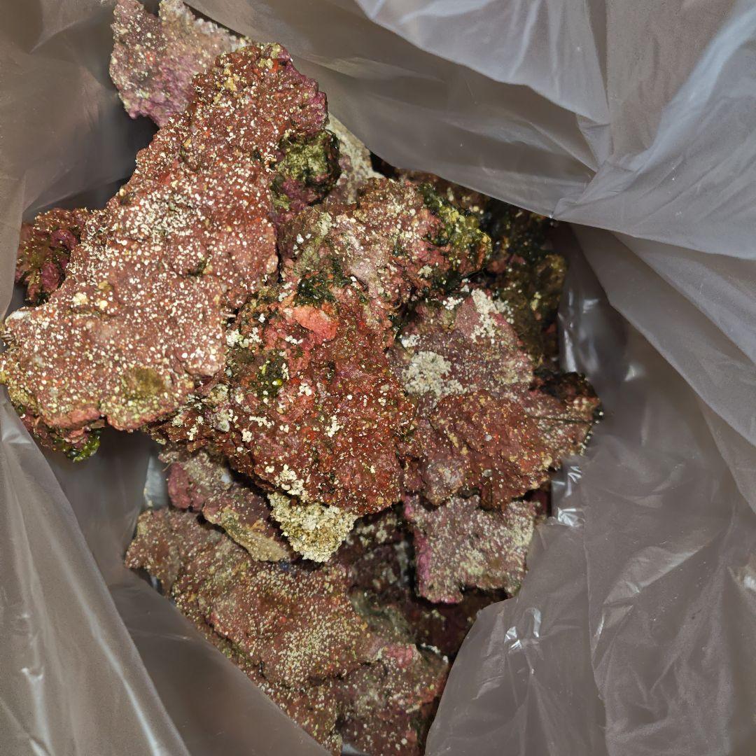 人工ライブロック 約13kg