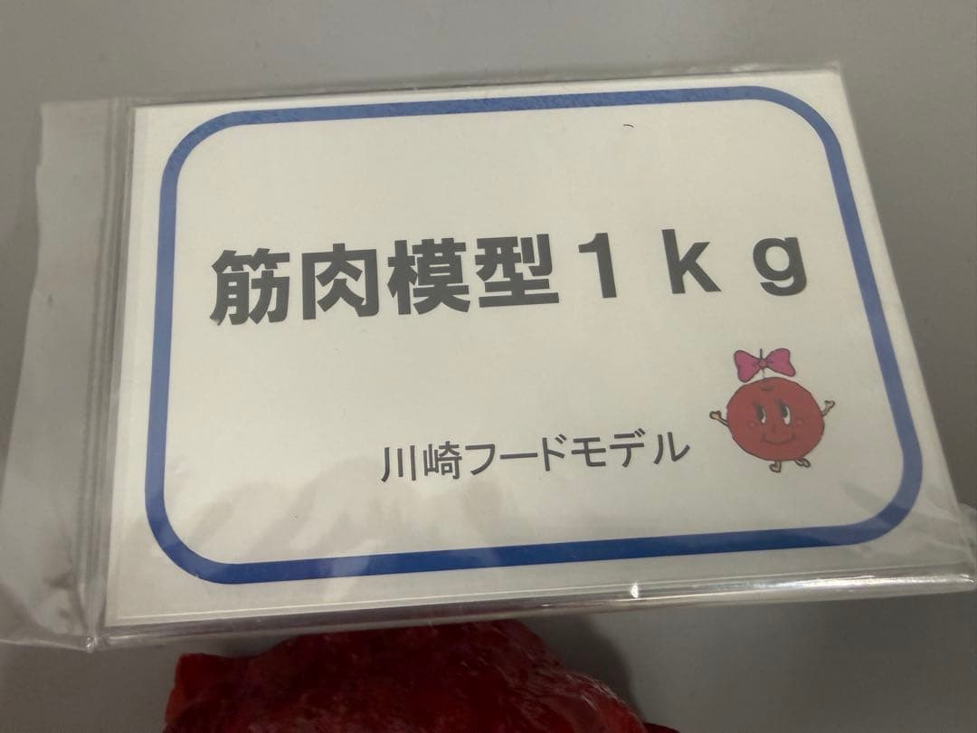 【2/9まで限定価格】未使用 川崎フードモデル 脂肪・筋肉模型 1kgセット