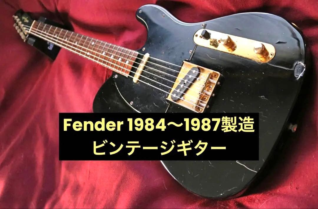 Fender（フェンダー） TLG80-60 Texas Special搭載