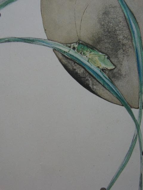 平福百穂、【月】、希少な画集より、状態良好、新品高級額装付