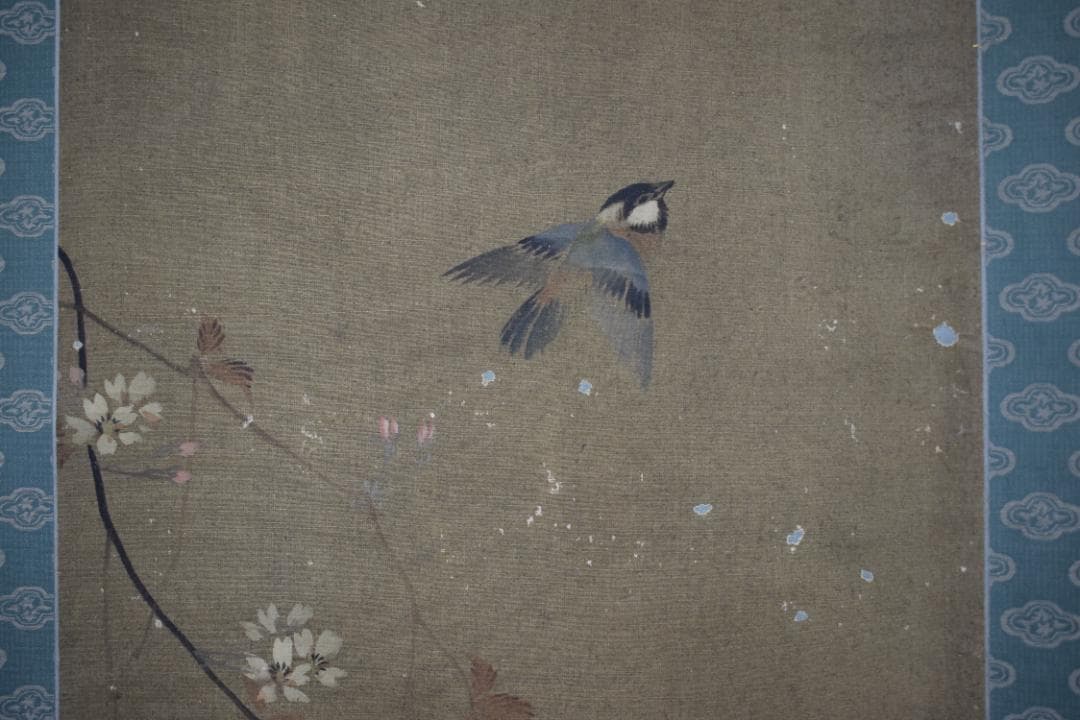 【模写】谷文晁/桜に小禽図/小鳥図/掛軸☆宝船☆Y-511　JM