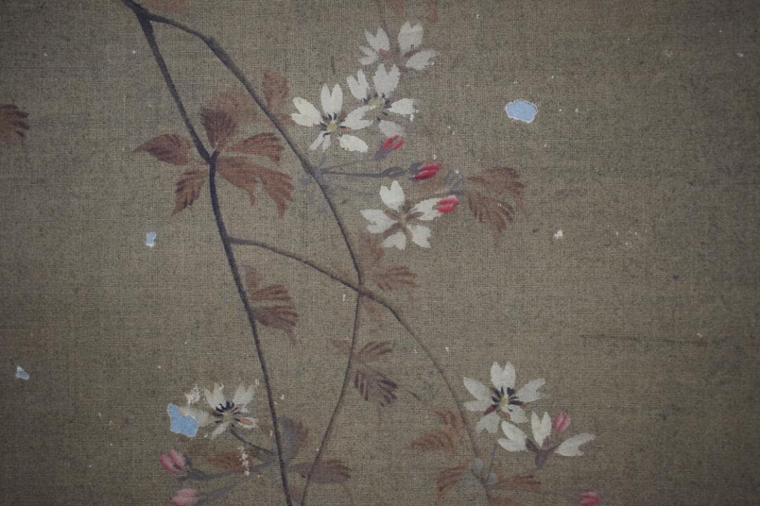 【模写】谷文晁/桜に小禽図/小鳥図/掛軸☆宝船☆Y-511　JM