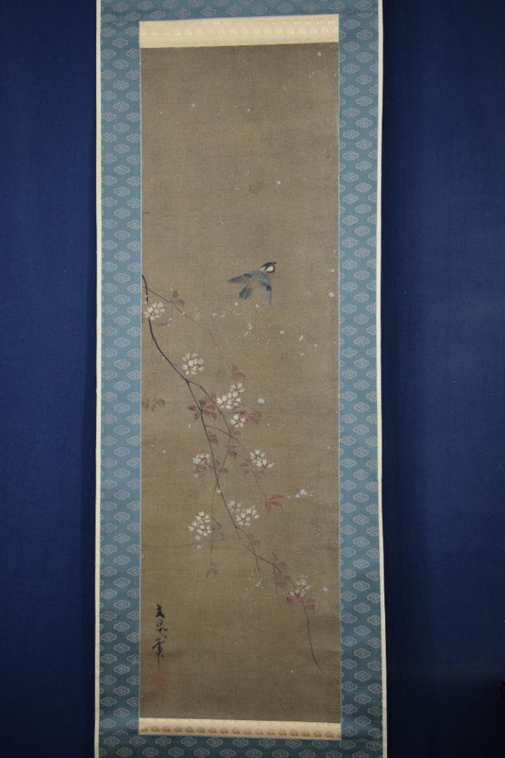 【模写】谷文晁/桜に小禽図/小鳥図/掛軸☆宝船☆Y-511　JM