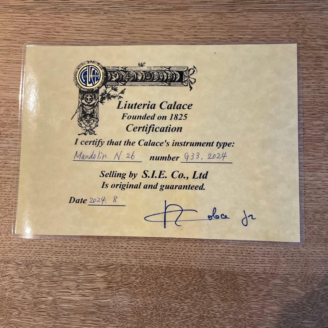 Calace（カラーチェ）マンドリン No.26 正規品保証書付き・2024年製