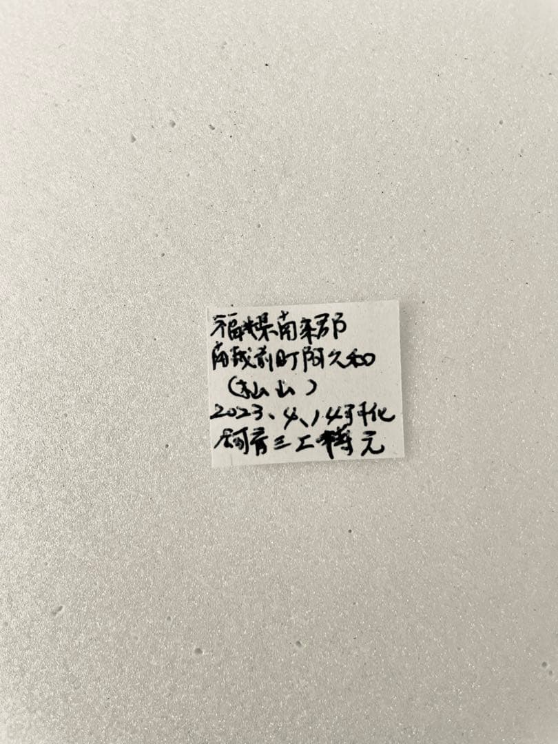 【異常型】ギフチョウ（メス、飼育・福島県）