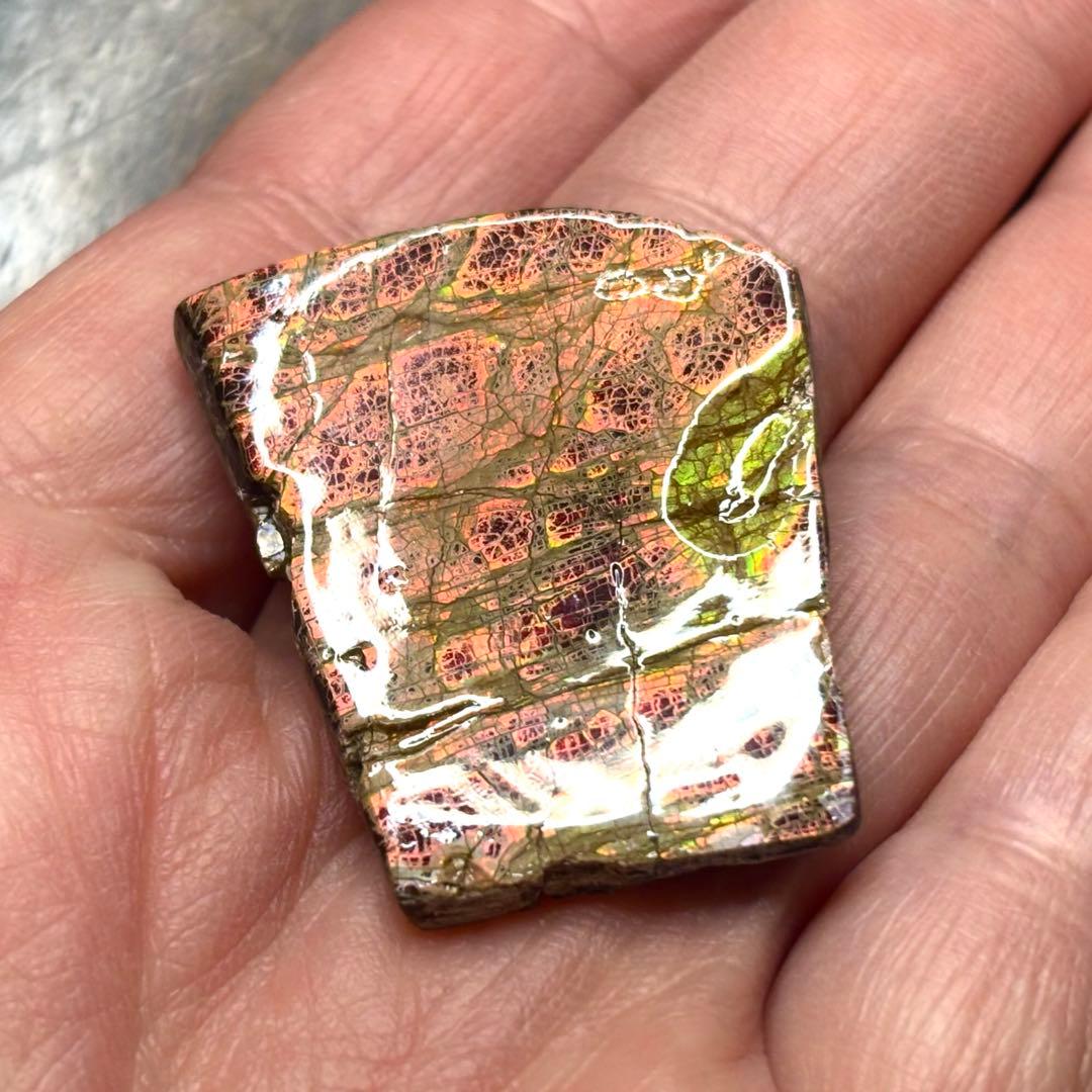 カナダ産 アンモライト 樹脂スタビライズ加工 天然宝石 化石 標本 両面遊色あり