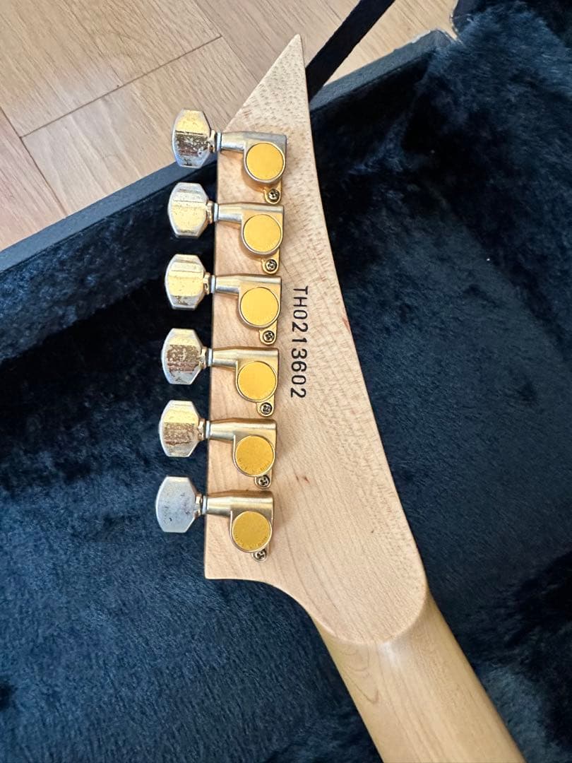 必読！ESP エレキギター ランディローズＶ EMG