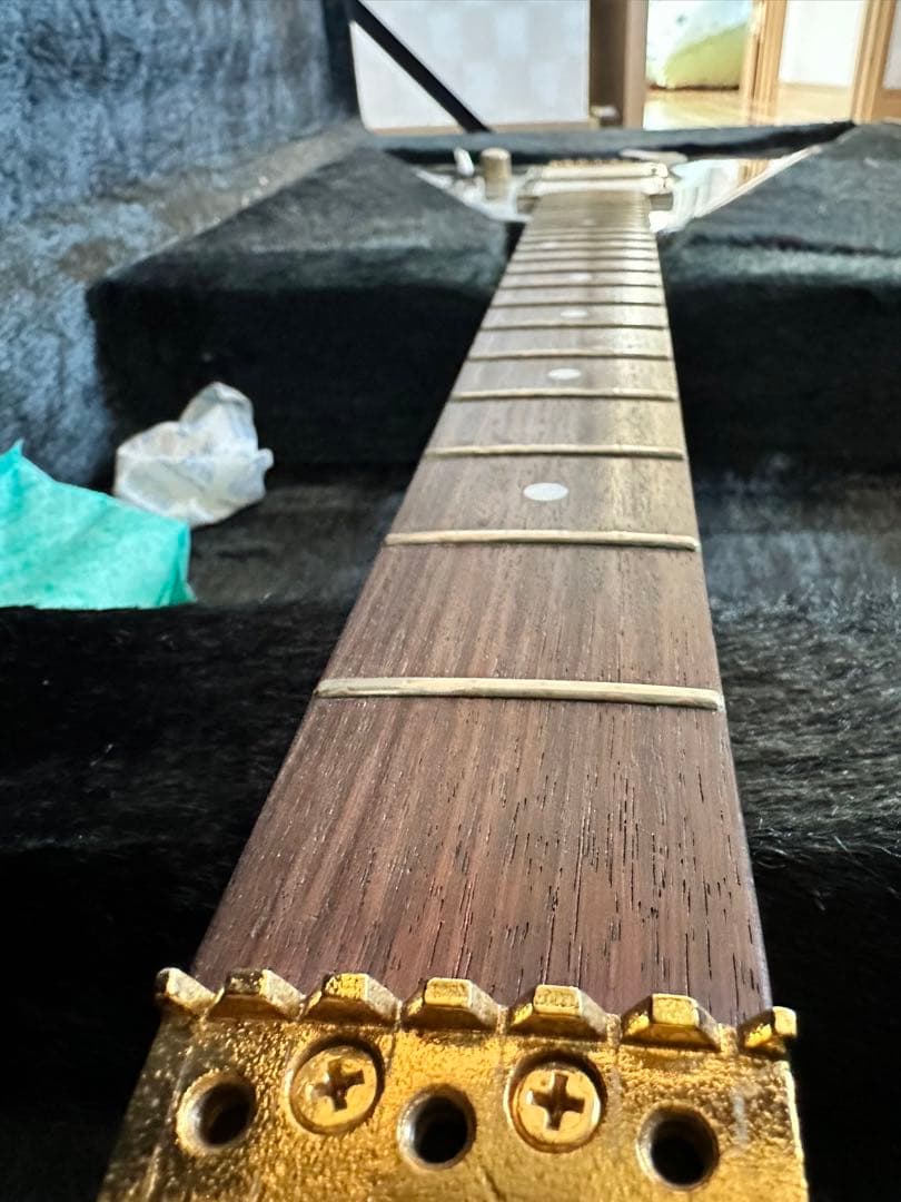 必読！ESP エレキギター ランディローズＶ EMG