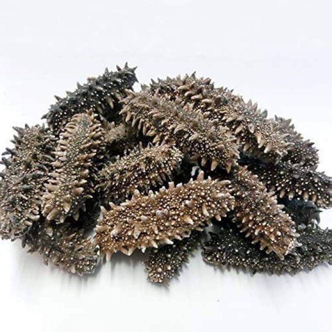 【北海道産】 乾燥なまこ 天然 厳選A級品200g S(5g以下