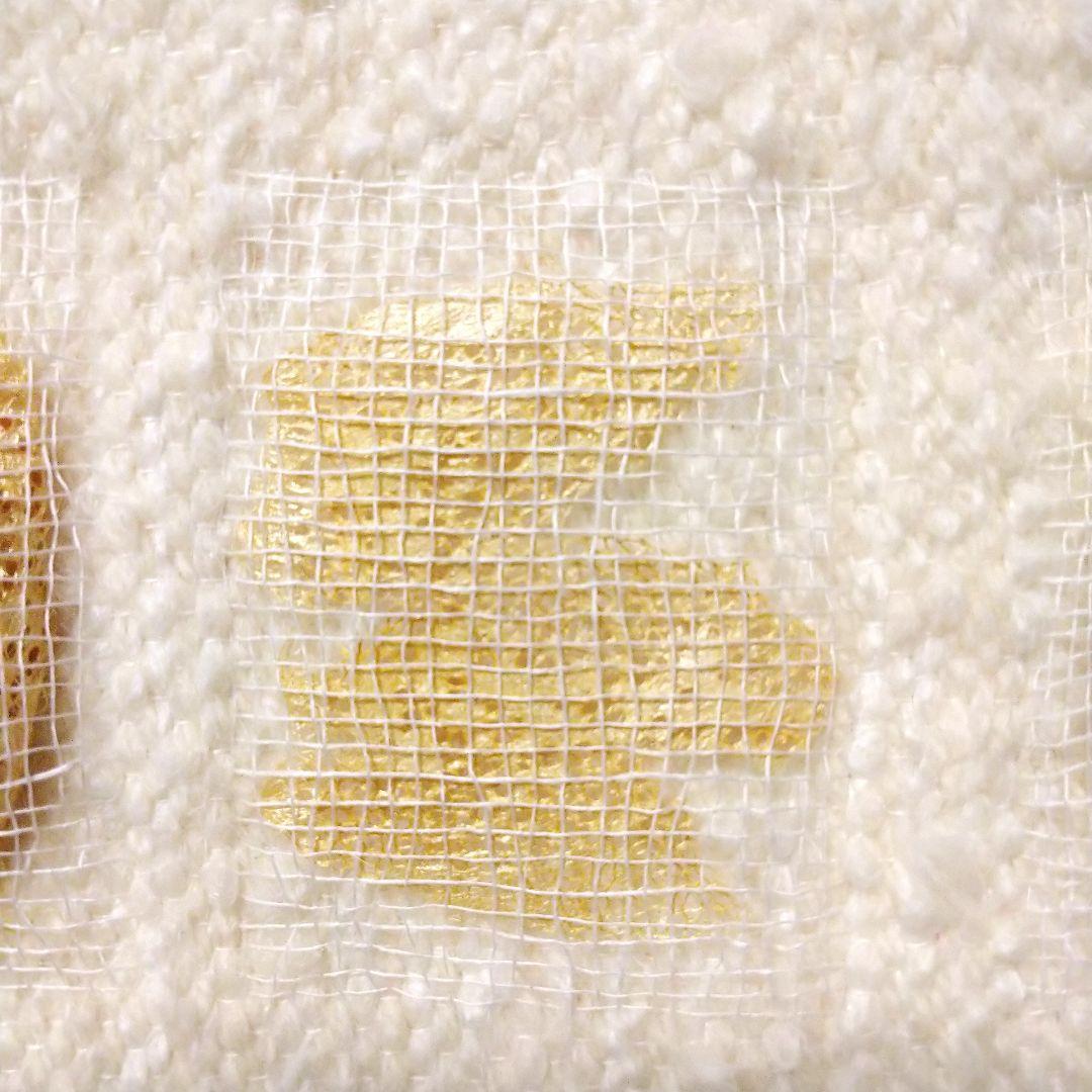 クリキュラ(Cricula Trifenestrata) 作品 美術品 アート