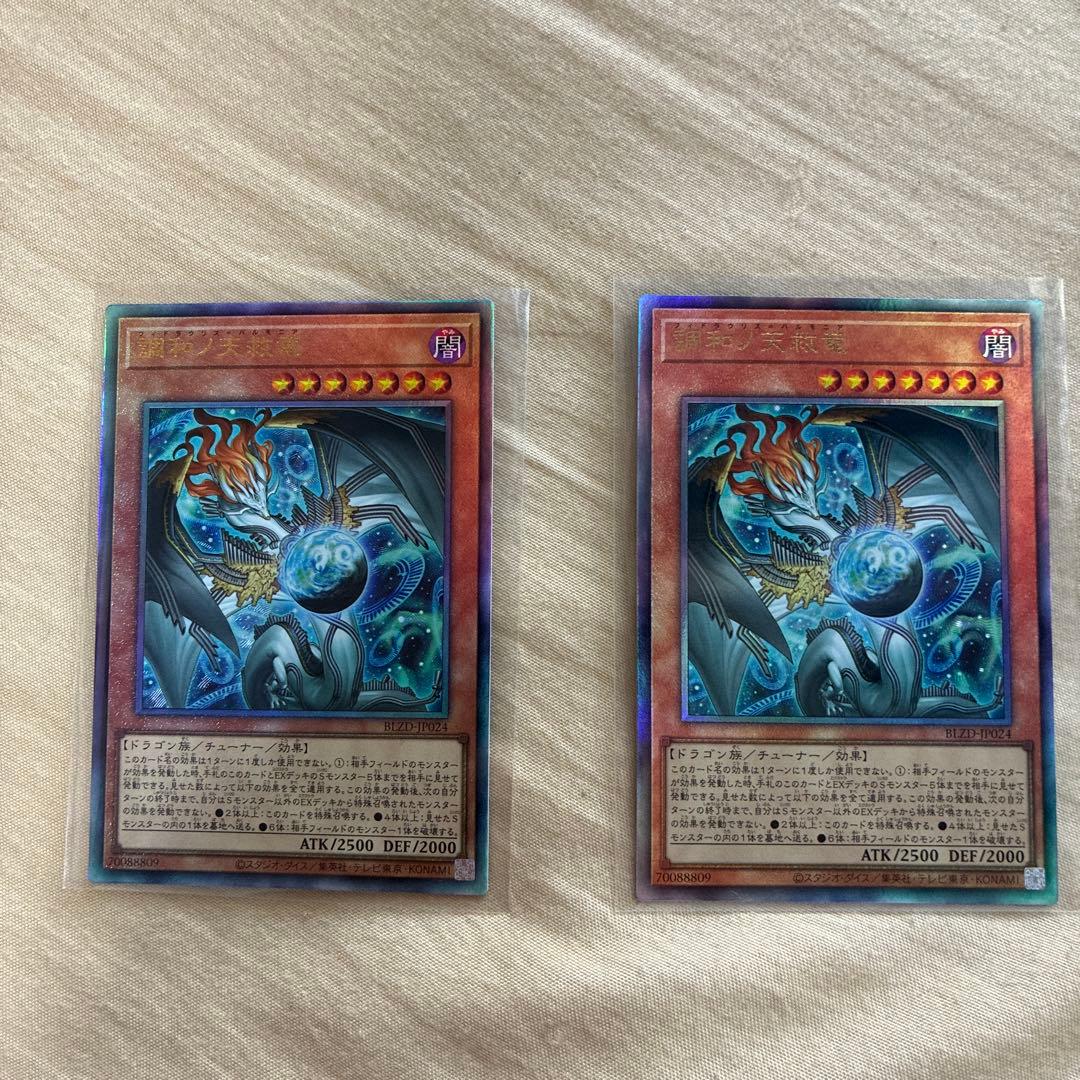 調和ノ天救竜　ハルモニア　レリーフ　2枚