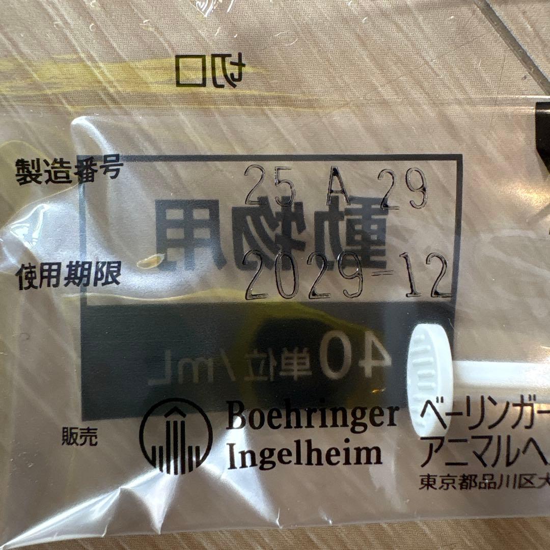 動物用　プロジンク　専用シリンジ　86本