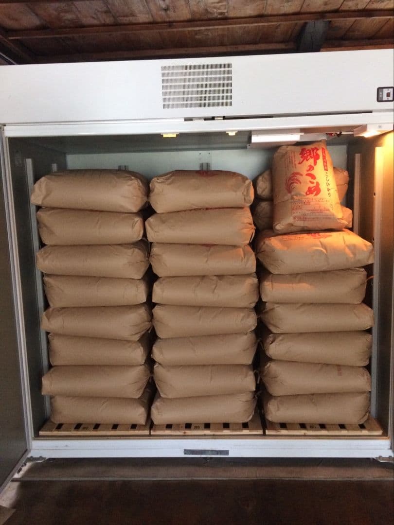 特別栽培米を農家よりお届けします。冷めても美味しい郷のこめ9kg（おまけ有）