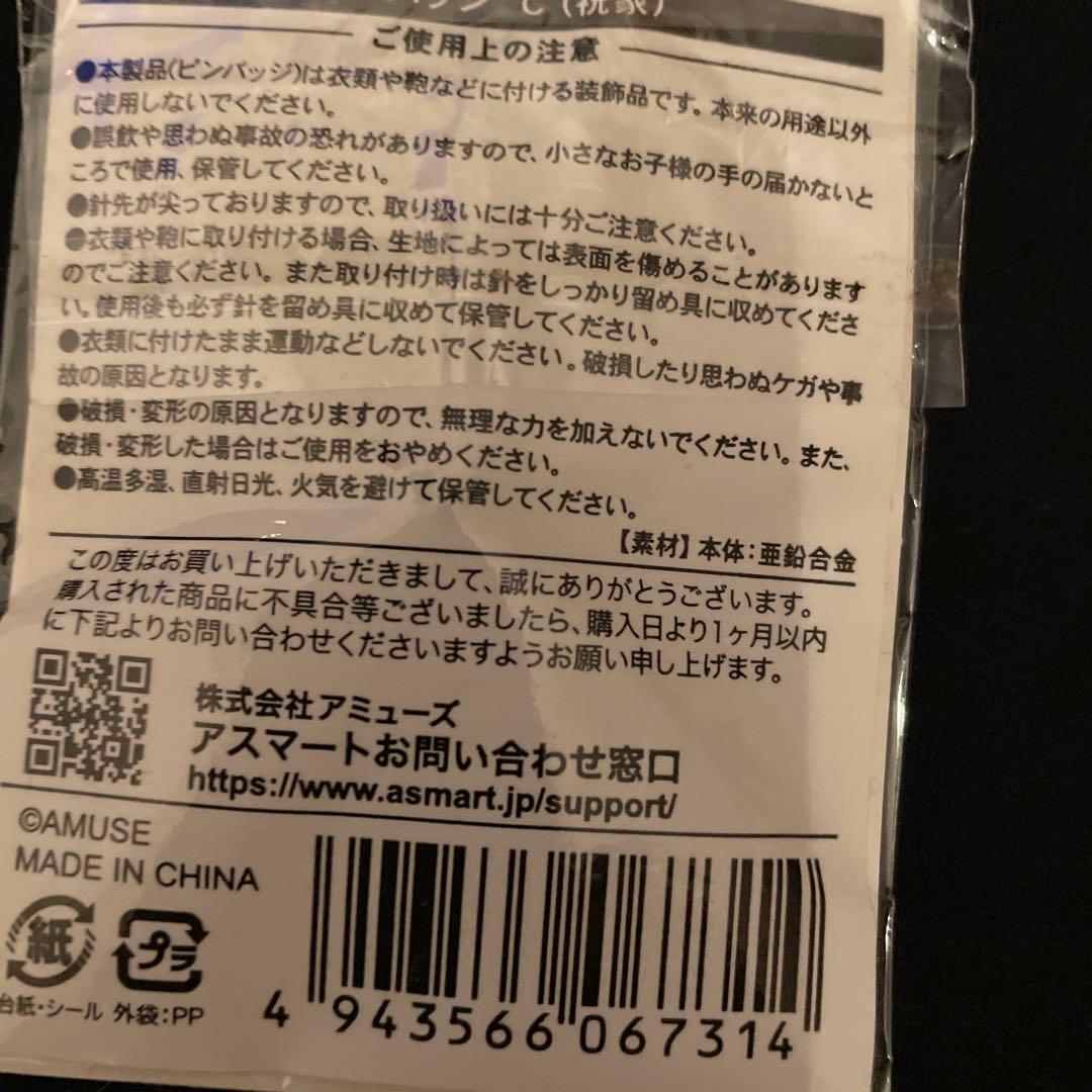 エレファントカシマシTシャツ S 2枚➕ピンバッジとおまけ付き⑤