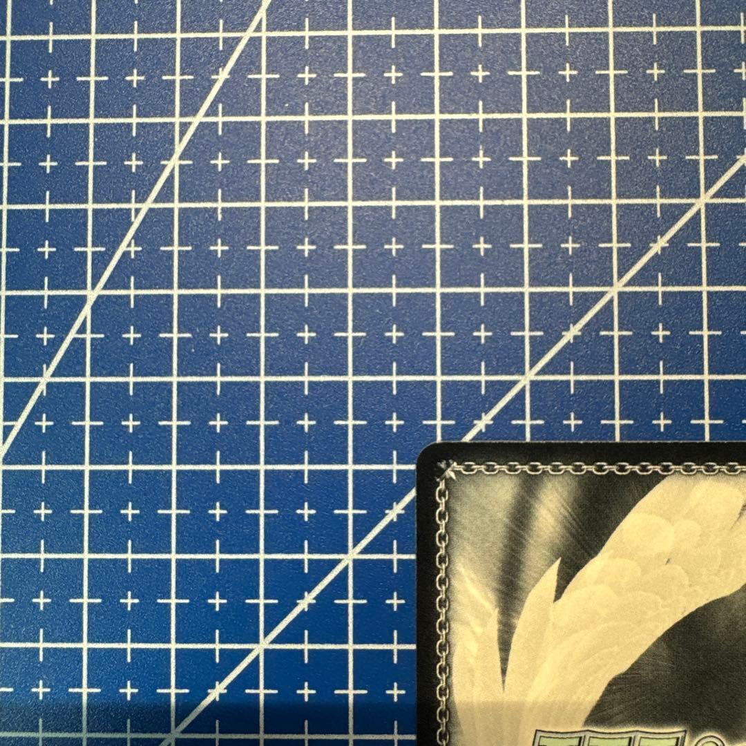 ヴァイスシュヴァルツ スニーカー文庫 情報と感情 長門 SP　373