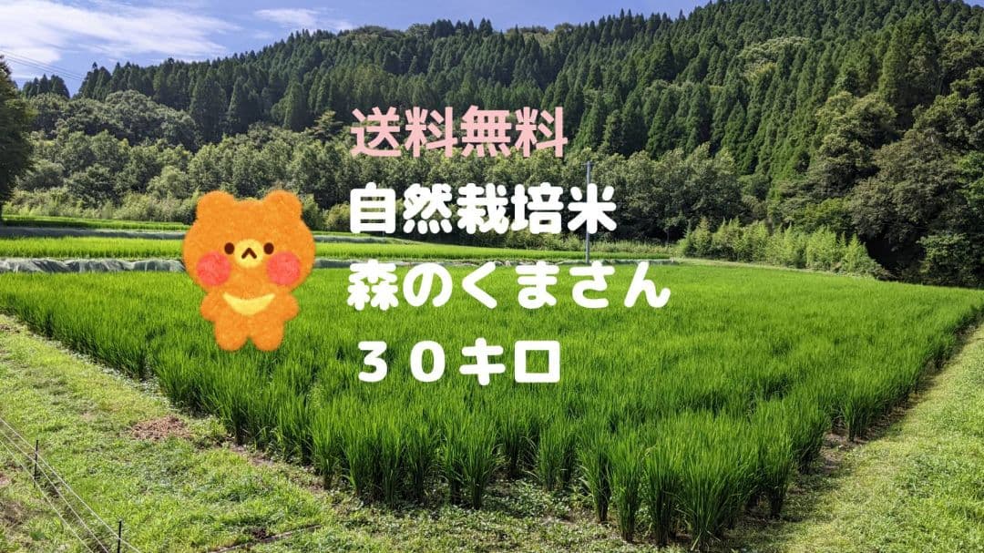 ★自然栽培米　玄米30kg(5kg×6)　令和7年度　熊本県産　森のくまさん★